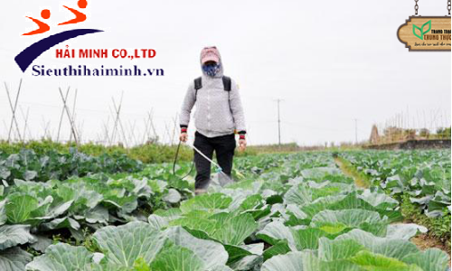 Máy phun thuốc trừ sâu giá rẻ, chính hãng số 1 thị trường tại sieuthihaiminh.vn